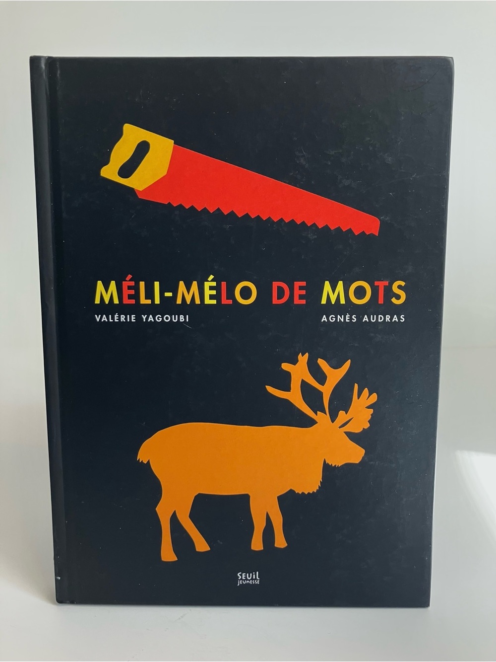Méli-Mélo de mots Livre-jeu Rébus Conscience phonologique Enfants maternelle